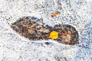 pegada congelada no caminho coberto de neve foto