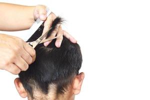 um menino é cortado o cabelo pelo cabeleireiro isolado sobre fundo branco foto
