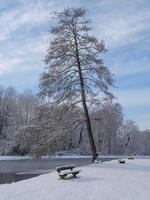 tempo de inverno em um castelo na alemanha foto