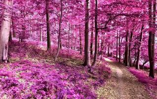 belo panorama infravermelho rosa e roxo de uma paisagem rural com um céu azul foto