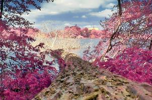 bela paisagem infravermelha rosa em um lago com uma superfície de água reflexiva. foto