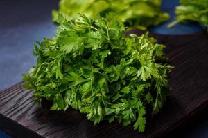 salada, salsa e endro em uma tábua escura contra um fundo azul de concreto foto