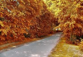 bela vista panorâmica em uma paisagem de outono dourada encontrada na europa foto