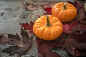 decoração festiva de outono de abóboras, pinheiros e folhas em um fundo de madeira. conceito de dia de ação de graças ou halloween. composição de outono plana leiga com espaço de cópia. foto