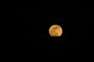 super lua de sangue azul foto