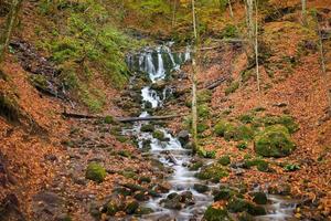 cachoeira na floresta foto