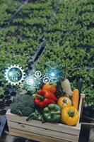 empresário futurista cultiva legumes e culturas usando tecnologia moderna de ai usando telefones celulares, sensores de temperatura e umidade, rastreamento de água, controle climático, ícones de dados de dados holográficos. foto