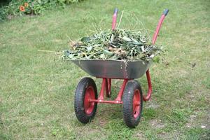 carrinho de ferro de jardim com grama no jardim foto