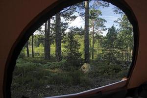 floresta na suécia vista através de uma entrada de tenda foto