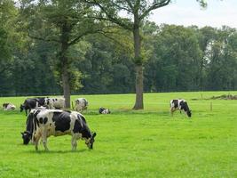 Winterswijk na Holanda foto