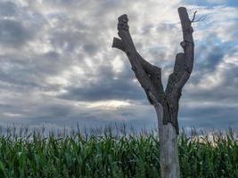 a pequena aldeia weseke em westphalia foto