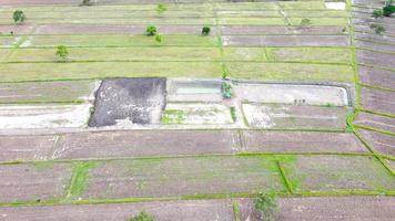 vista aérea de campos verdes e terras agrícolas na tailândia rural. foto