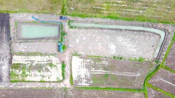 vista aérea de campos verdes e terras agrícolas na tailândia rural. foto