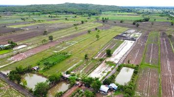 vista aérea de campos verdes e terras agrícolas na tailândia rural. foto