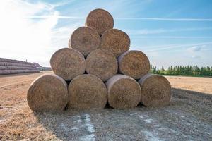 enorme pilha de palha de rolos de feno entre o campo colhido. cama de gado foto