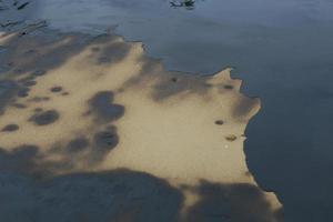 o derramamento de óleo do Golfo é mostrado em uma praia foto