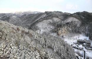 casas cobertas de neve foto