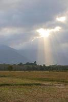 sol da manhã no campo foto