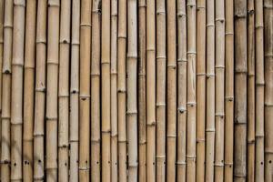 fundo de cerca de bambu foto