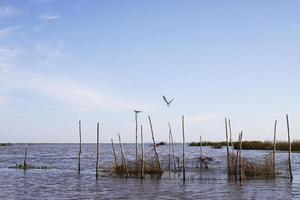 thale noi, phatthalung, tailândia foto