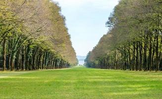 árvores verdes no parque do palácio herrenchiemsee foto