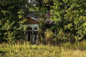 casa velha abandonada coberta de arbustos e árvores foto