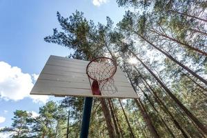 balanço e barras horizontais no playground e quadra de basquete na floresta de pinheiros foto