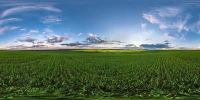 panorama hdri esférico completo sem costura visão de ângulo de 360 graus entre campos verdes à noite com nuvens incríveis em projeção equirretangular, pronto para conteúdo de realidade virtual vr foto