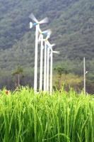 campo de arroz verde com turbina eólica foto