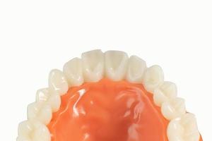 modelo de dente em fundo branco isolado. foto