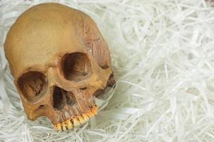 crânio humano em papel de amortecimento para conteúdo de sci. foto