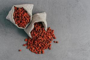 bagas de goji saudáveis derramadas de pequeno saco, isolado sobre fundo cinza. conceito de agricultura e nutrição. superalimento foto