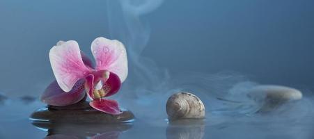 natureza morta com orquídea rosa. relaxantes pedras de orquídea rosa de fundo azul, conchas na água com neblina. conceito de spa. foto