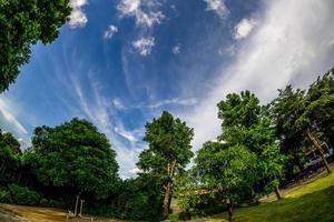 belas nuvens no jardim foto