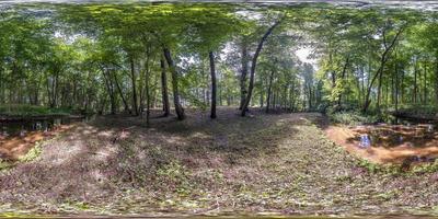 panorama hdri esférico completo sem costura visão de ângulo de 360 graus entre os arbustos e árvores da floresta perto de pequeno rio em projeção equirretangular, conteúdo de realidade virtual vr ar pronto foto