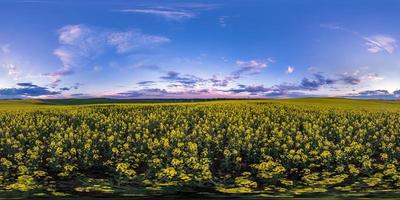 panorama hdri esférico completo sem costura visão de ângulo de 360 graus entre campos de colza canola colza em dia de primavera com céu noturno em projeção equirretangular, pronto para conteúdo de realidade virtual vr ar foto