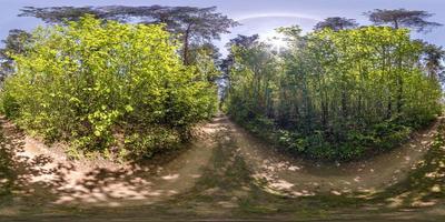 panorama hdri esférico completo sem costura visão de ângulo de 360 graus em estrada de cascalho sem tráfego entre floresta em dia de verão em projeção equirretangular, conteúdo de realidade virtual vr ar pronto foto