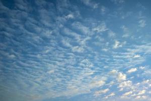 fundo de céu azul escuro com pequenas nuvens listradas stratus cirrus. noite limpa e bom tempo ventoso foto