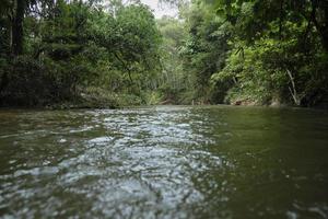 paisagem natural tropical tranquila vista panorâmica, fluxo de água corrente no parque da floresta tropical sempre verde, rio de água doce com folhagem de árvores, belo ambiente ao ar livre, turismo de aventura na ásia. foto