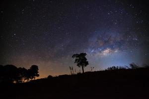 bela via láctea e silhueta de árvore em um céu noturno antes do nascer do sol foto