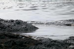 derramamento de petróleo bruto na praia foto