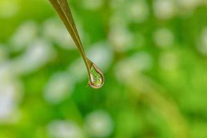 gotas de água visão macro folha de maçã foto