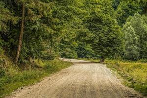 estrada para as montanhas romênia foto