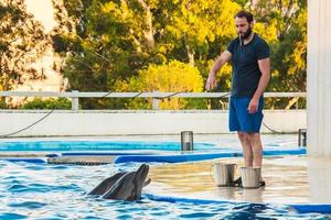 batumi, geórgia, 2022 - funcionários do sexo masculino alimentam golfinhos na piscina no resort mar batumi foto