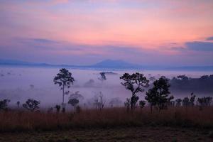 nevoeiro na floresta no parque nacional thung salang luang phetchabun, tailândia foto