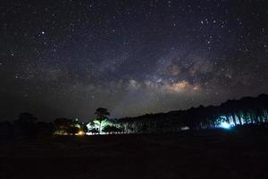 bela galáxia da Via Láctea em um céu noturno e silhueta de árvore, fotografia de longa exposição. com grãos foto