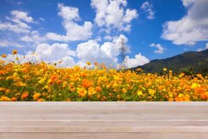 tampo da mesa de madeira no fundo da natureza bokeh - pode ser usado para montagem ou exibir seus produtos foto