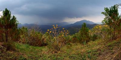 montanhas panorâmicas com um céu nublado antes da chuva em khao kho phetchabun, tailândia foto