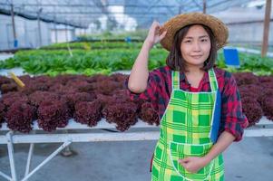 mulher agricultora asiática trabalhando na fazenda de saladas, ásia feminina cultivando vegetais para um negócio de atacado no mercado fresco foto