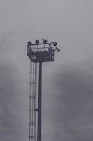 torre de holofotes em preto e branco foto